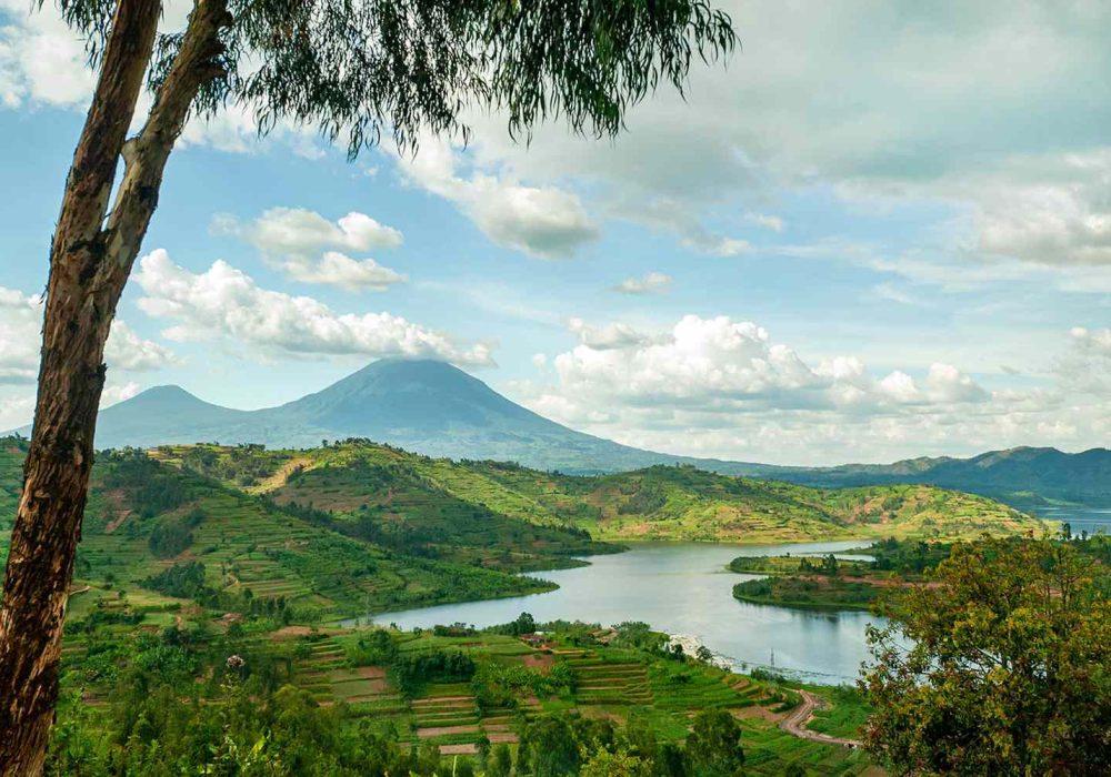 TAL-header-virunga-mountains-rwanda-ALISTRWANDA0123-049a3b1c218e4358a90015bd09fff7be